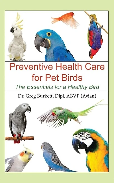 Preventative Health Care For Pet Birds: The Essentials For A Healthy Bird
