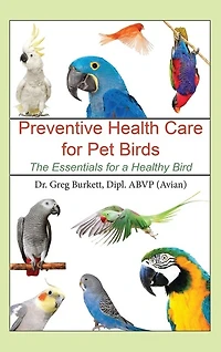 Preventative Health Care For Pet Birds: The Essentials For A Healthy Bird