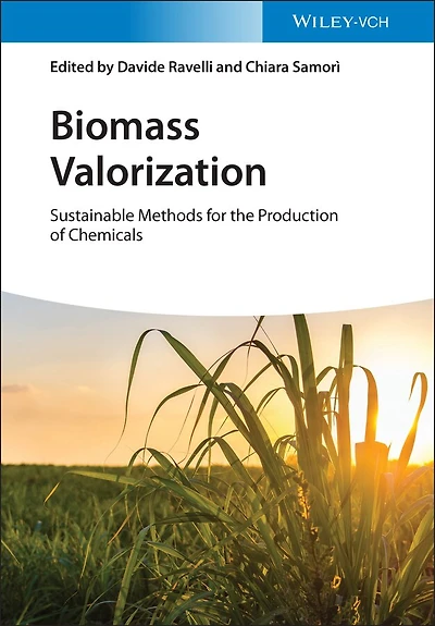 Biomass Valorization: Sustainable Methods For The Production Of Chemicals