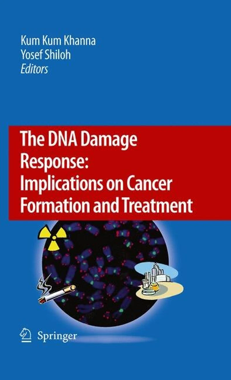 The Dna Damage Response: Implications On Cancer Formation And Treatment