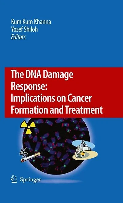 The Dna Damage Response: Implications On Cancer Formation And Treatment