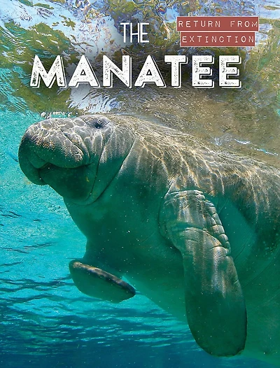 The Manatee