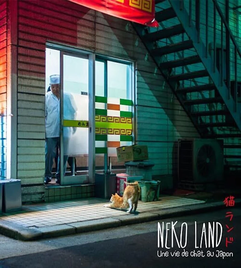 Nekoland: une vie de chat au Japon