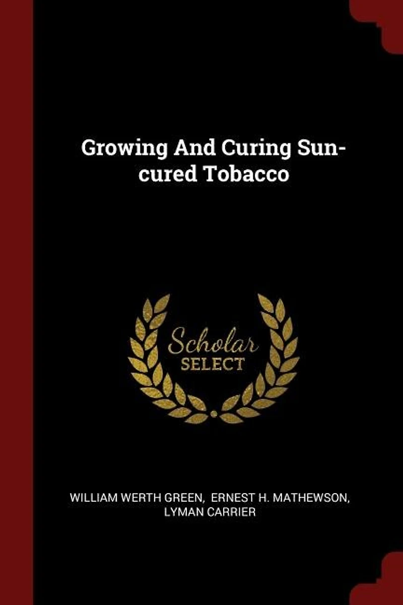Growing And Curing Sun-cured Tobacco