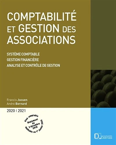 Comptabilité et gestion des associations 2020-2021: système comptable, gestion financière, analyse et contrôle de gestion