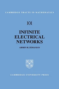 Infinite Electrical Networks