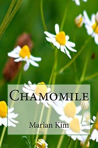 Chamomile