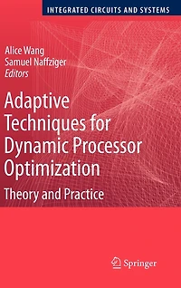 Adaptive Techniques for Dynamic Processor Optimization: Theory and Practice
