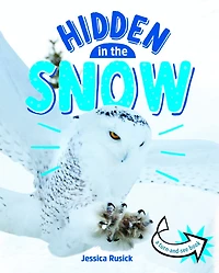 Animals Hidden the Snow