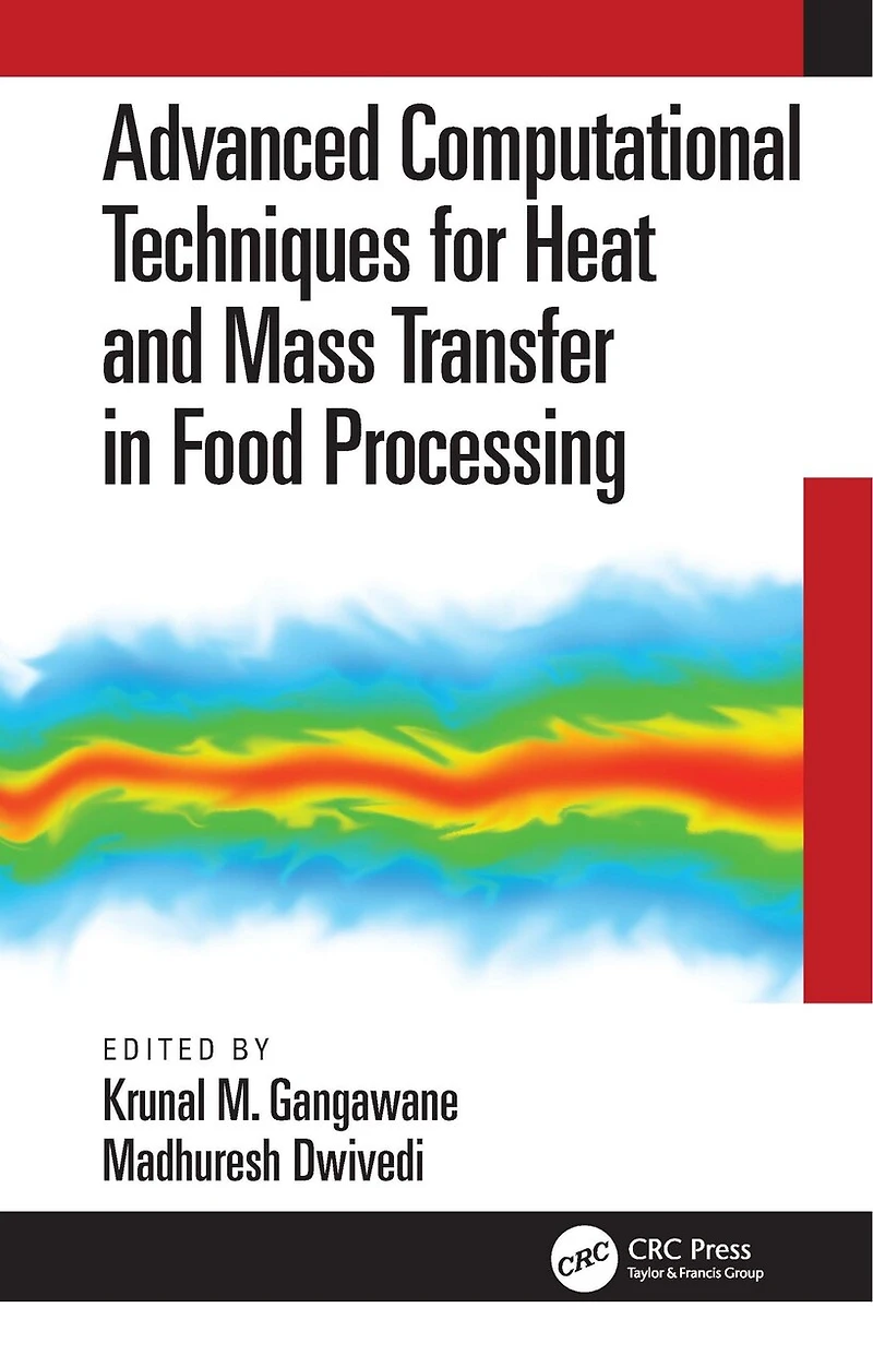 Advanced Computational Techniques for Heat and Mass Transfer Food Processing