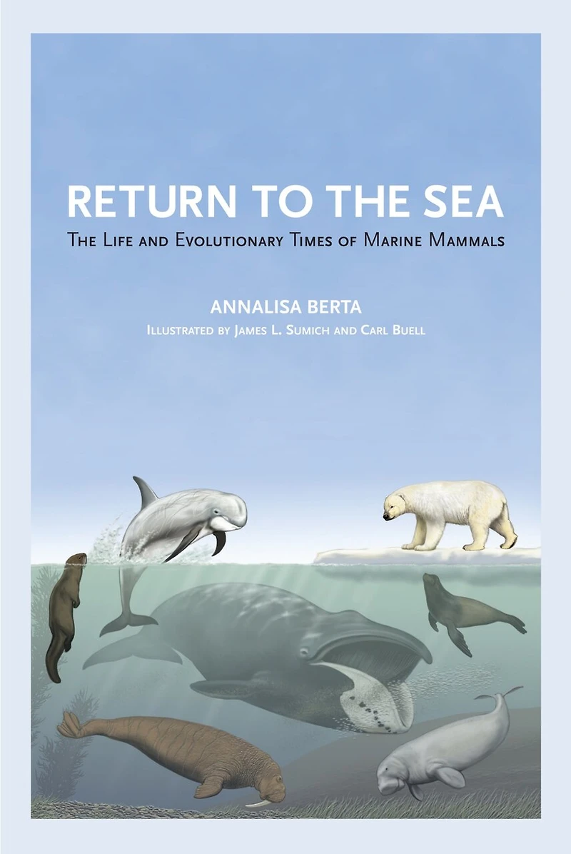 Return To The Sea: Life And Evolutionary Times Of Marine Mammals