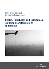 Scales, Thresholds And Dilemmas Of Housing Transformations Istanbul