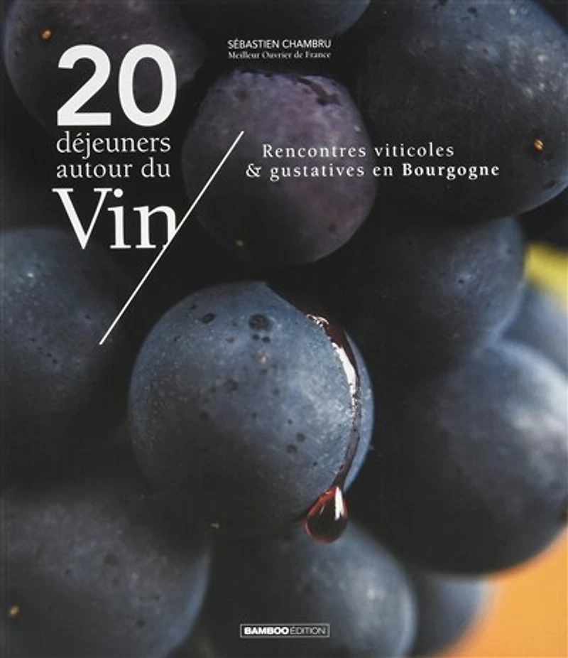 20 déjeuners autour du vin: rencontres viticoles & gustatives en Bourgogne