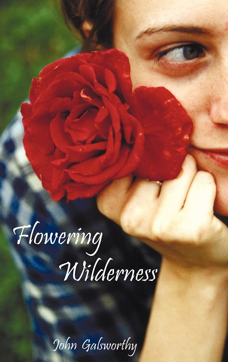 Flowering Wilderness (the Forsyte Saga: End Of The Chapter, Book 2)