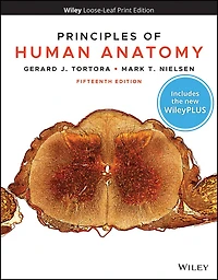 Principles of Human Anatomy