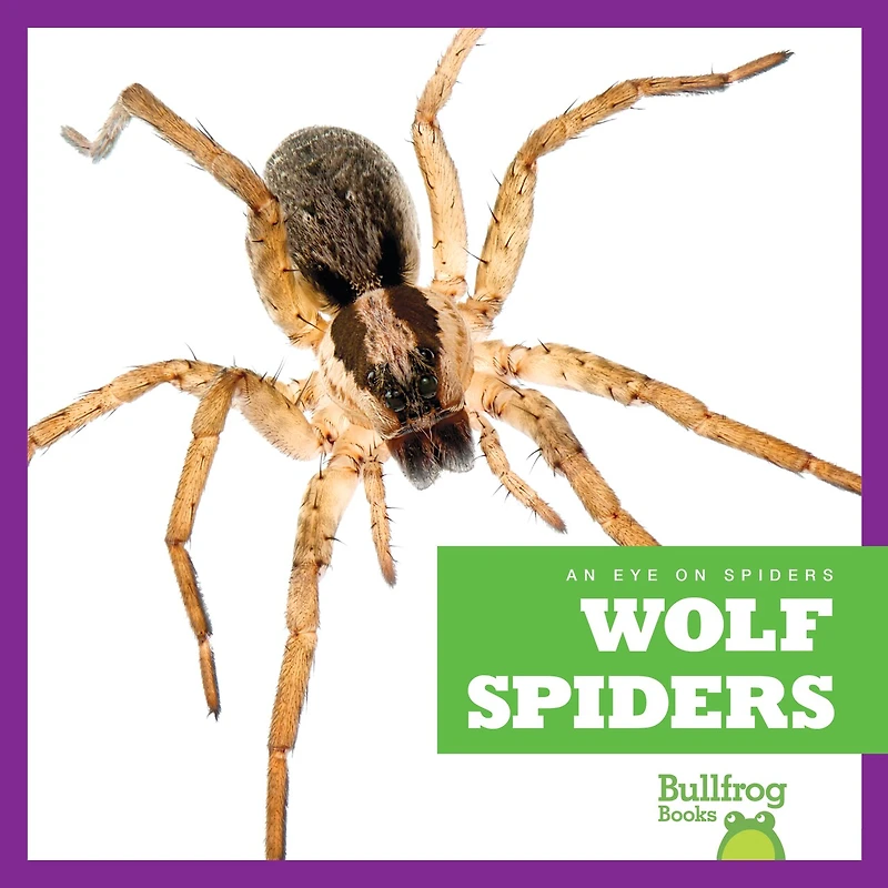Wolf Spiders