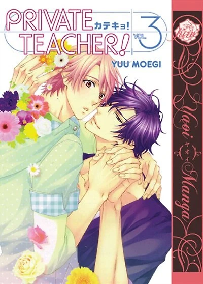 Private Teacher Volume 3 (yaoi)