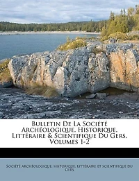Bulletin De La Société Archéologique, Historique, Littéraire & Scientifique Du Gers, Volumes 1-2