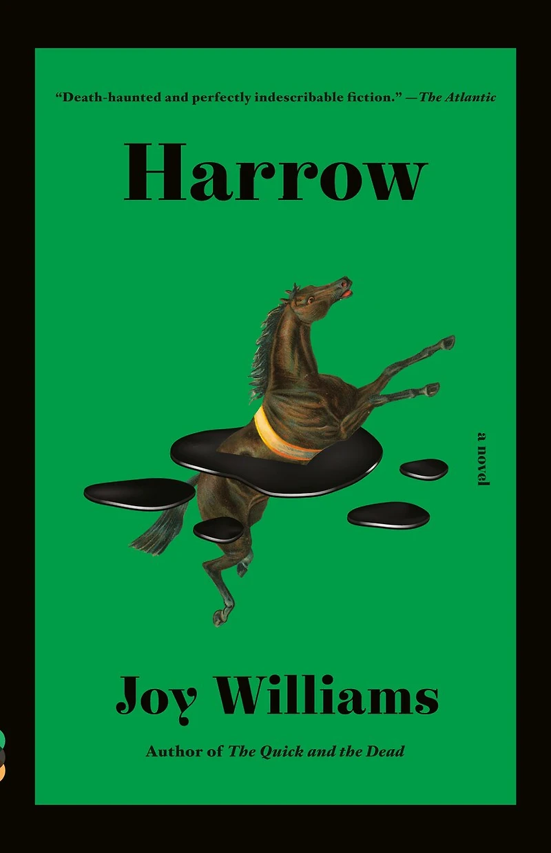 Harrow: A Novel