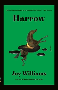 Harrow: A Novel