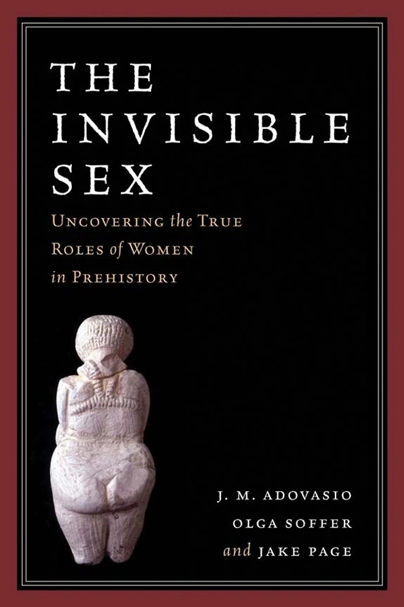 The Invisible Sex: Uncovering True Roles Of Women Prehistory