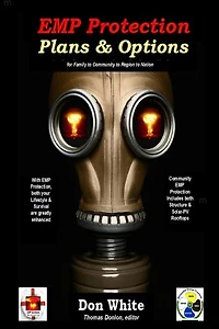 EMP Protection Plans & Options: for Family, Community, Region, and National