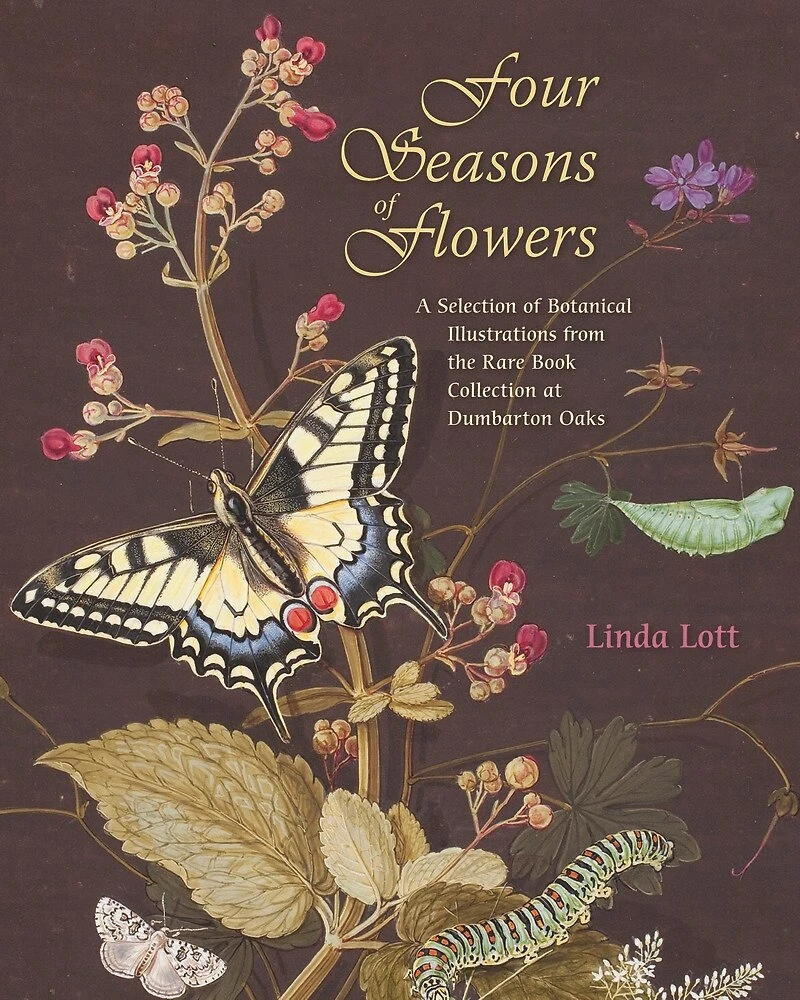Four Seasons of Flowers: A Selection of Botanical Illustrations from the Rare Book Collection at Dumbarton Oaks