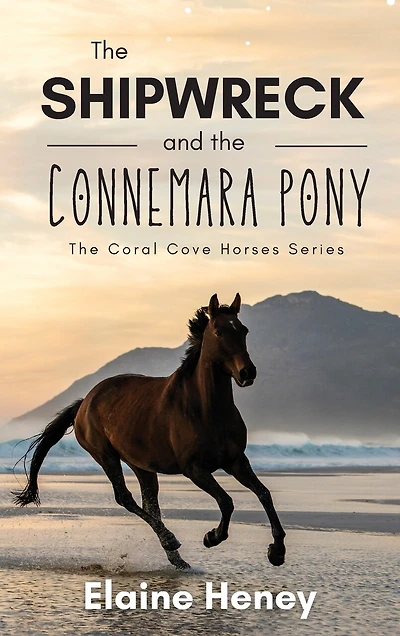 The Shipwreck and the Connemara Pony
