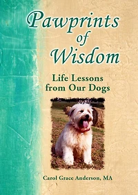 Pawprints of Wisdom: Life Lessons from Our Dogs