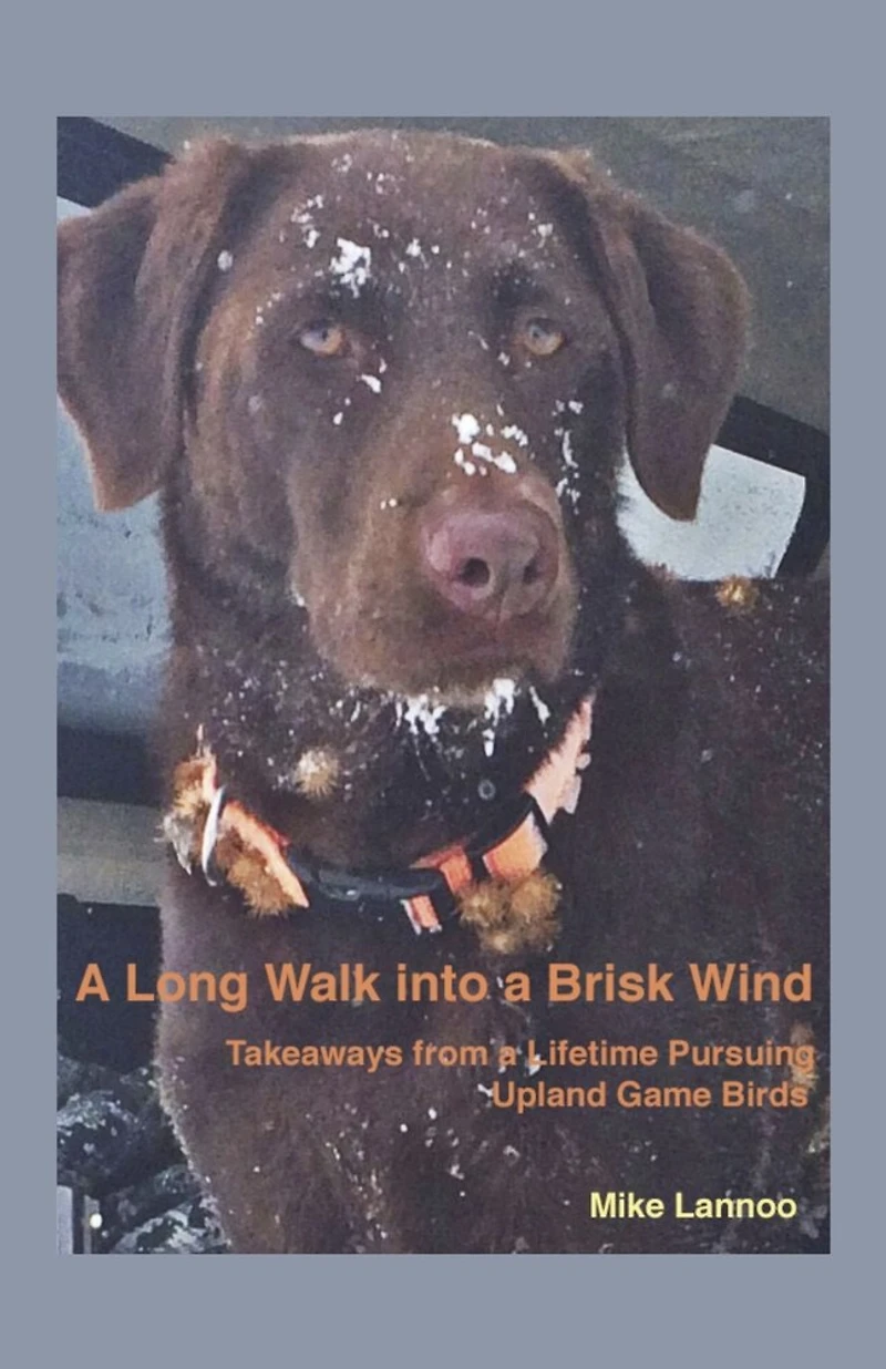 A Long Walk into a Brisk Wind: Takeaways from a Lifetime Pursuing Upland Game Birds