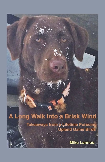 A Long Walk into a Brisk Wind: Takeaways from a Lifetime Pursuing Upland Game Birds
