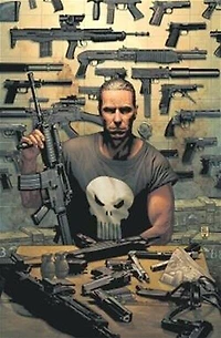 Punisher, Vol. 1