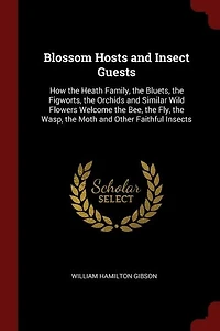 Blossom Hosts and Insect Guests: How the Heath Family, Bluets, Figworts, Orchids Similar Wild Flowers Welcome Be