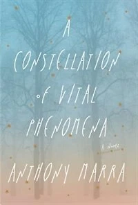 A Constellation of Vital Phenomena: Large Print Edition