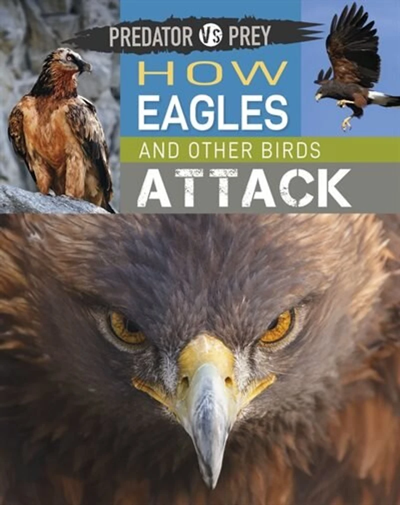 Predator Vs Prey: How Eagles And Other Birds Attack!