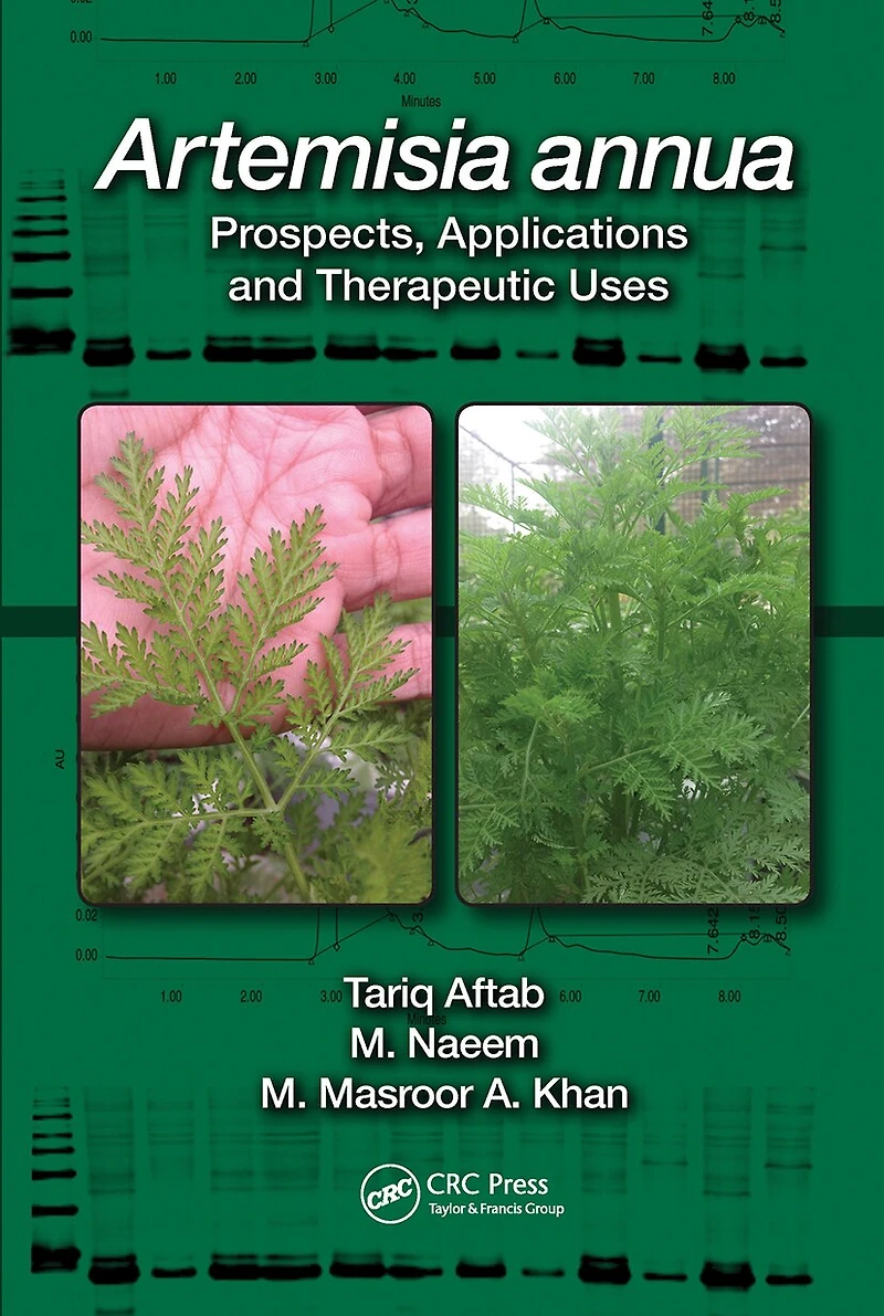Artemisia annua: Prospects, Applications and Therapeutic Uses