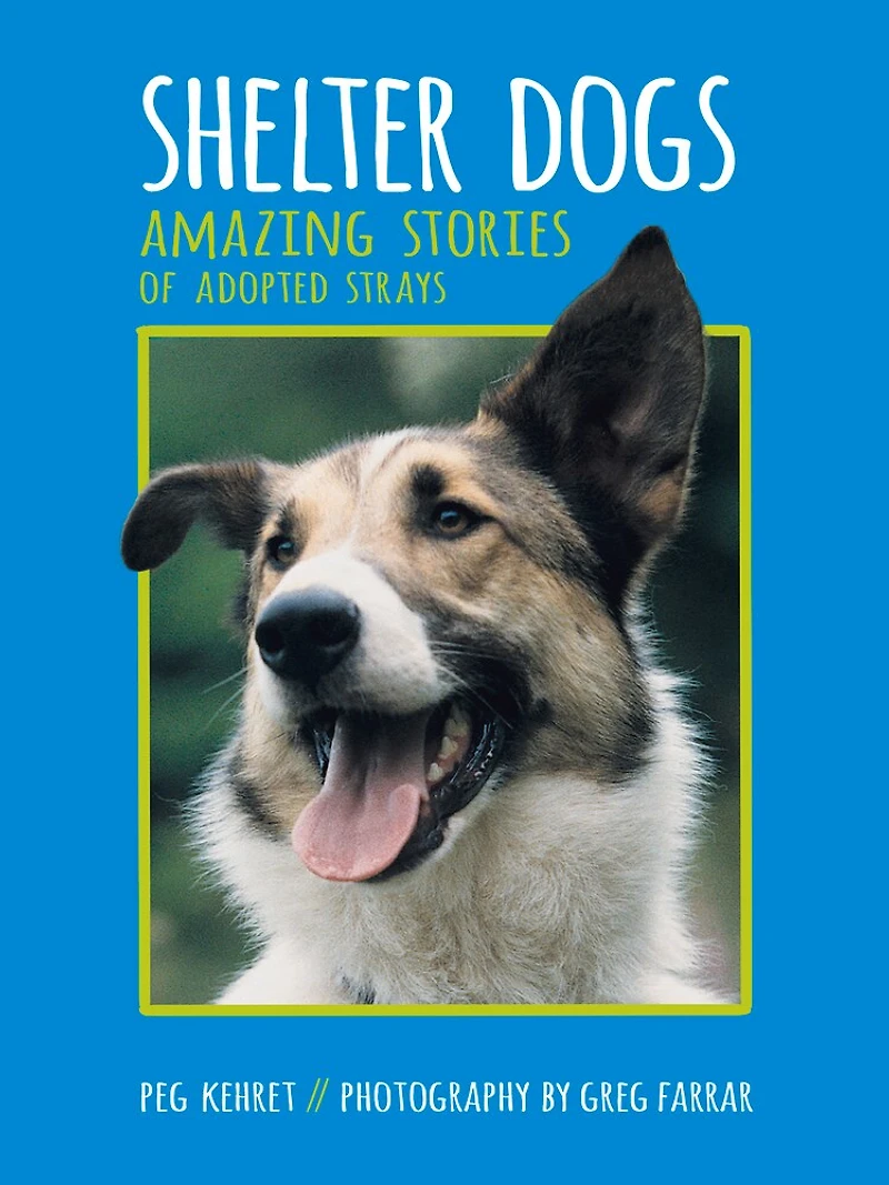 Shelter Dogs: Amazing Stories Of Adopted Strays