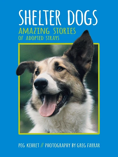 Shelter Dogs: Amazing Stories Of Adopted Strays