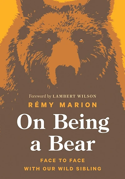 On Being A Bear: Face To With Our Wild Sibling