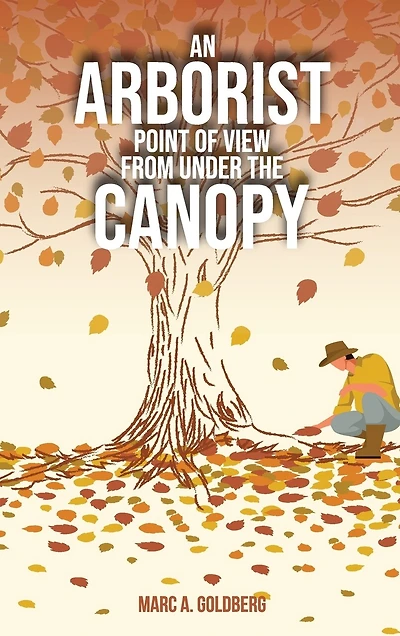 An Arborist Point Of View From Under The Canopy