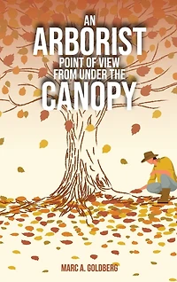 An Arborist Point Of View From Under The Canopy