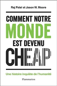 Comment notre monde est devenu cheap : une histoire inquiète de l'humanité: l'humanité