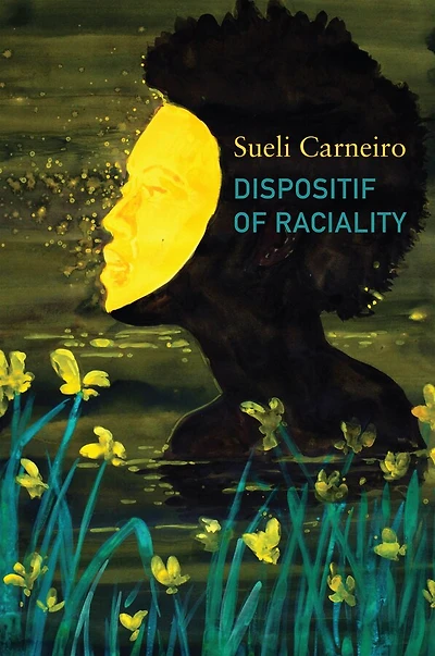 Dispositif of Raciality: the Construction Other as Non-Being