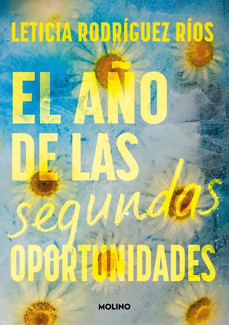 El año de las segundas oportunidades / The Year of Second Chances