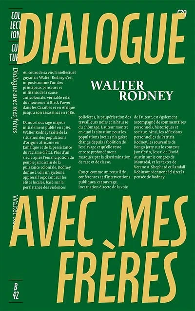 Dialogue avec mes frères: conscience noire et histoire africaine