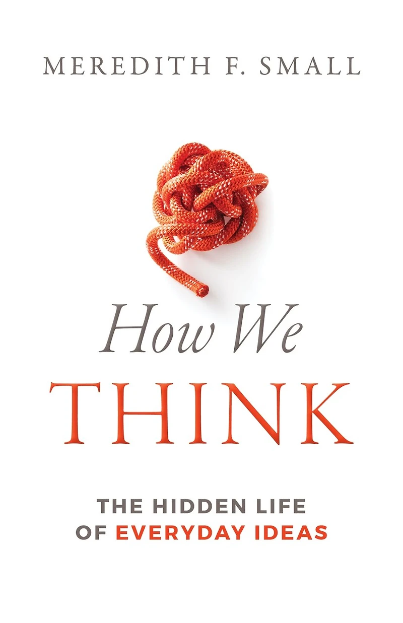 How We Think: The Hidden Life of Everyday Ideas