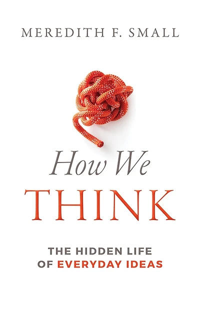 How We Think: The Hidden Life of Everyday Ideas