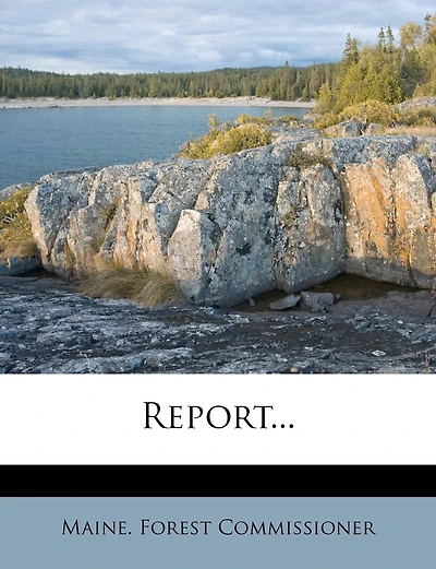 Report