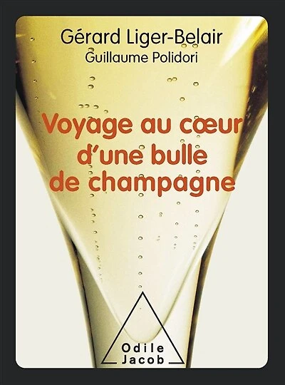 Nouveau voyage au coeur d'une bulle de champagne