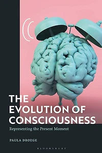 The Evolution Of Consciousness: Representing The Present Moment